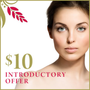 $10 Introductory Offer
